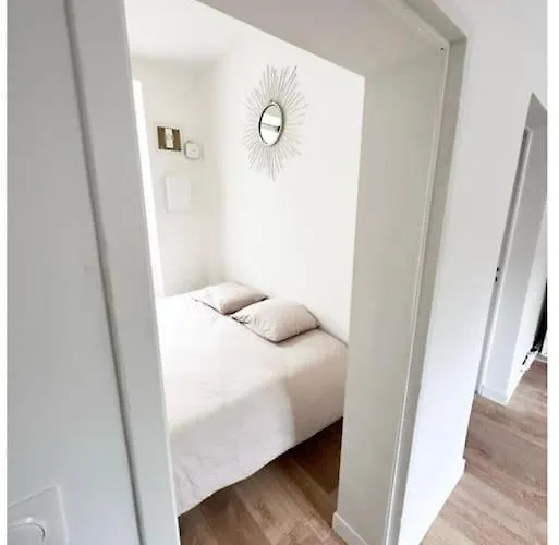 L'ambre Daire Angers